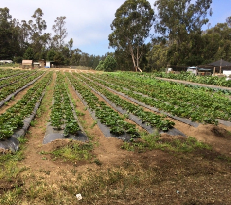 Crystal Bay Farm - Watsonville, CA