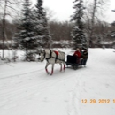 L C's Sleigh & Hay Rides