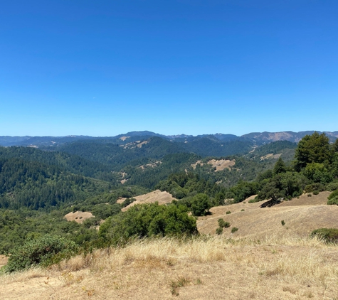 Armstrong Redwoods State Natural Reserve - Guerneville, CA