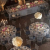 Arco iris party rentals gallery