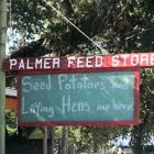 Palmer Feed Store