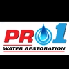 Pro 1 Water Restoration gallery