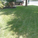 David's Lawn Care Service - Landscaping & Lawn Services