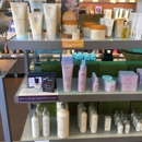 Willo a collection of AVEDA Salon & Spa's - Cosmetologists