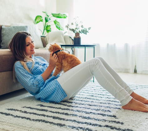 Toowoon Bay Carpets & Shutters - Berkeley Vale, NSW