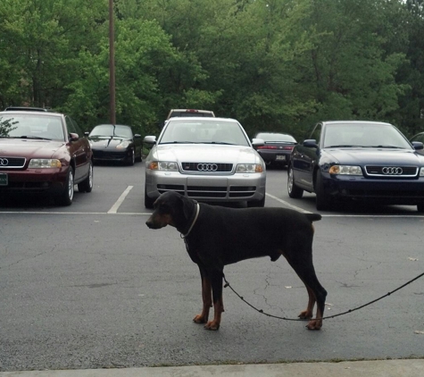 Superior Autohaus - Porsche and Audi Service, Repair, and Tuning - Alpharetta, GA