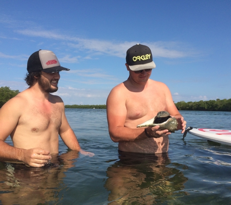 Paddleboard Adventures - Englewood, FL