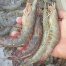 C&R SEAFOOD LOUISIANA SHRIMP COMPANY LLC - Seafood Restaurants