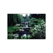 Gallery Image Number 5