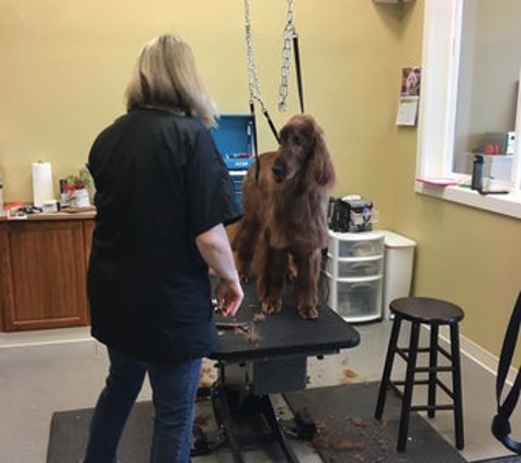 Kristi's Grooming LLC - Bothell, WA