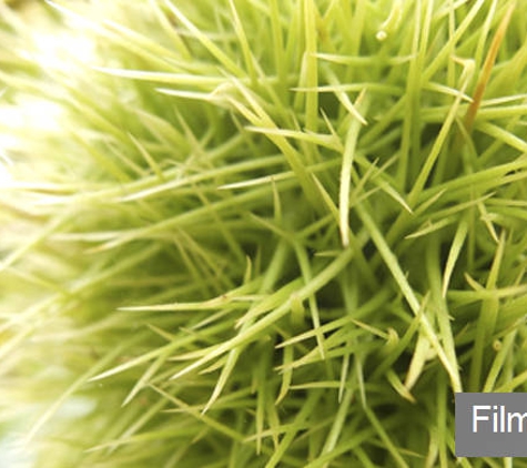 Fujifilm Australia Pty Ltd - Mulgrave, VIC