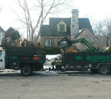 Accurate Tree Service LLC - Madison, WI