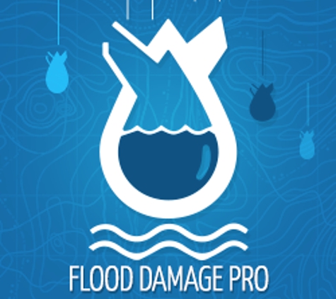 Flood Damage Pro - Metuchen, NJ