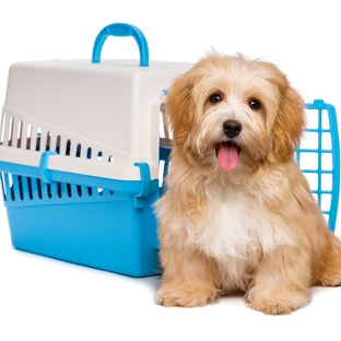 Allied Moving Services - Epsom, VIC. Pet Transport