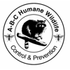 ABC Humane Wildlife Control and Prevention Inc. gallery