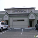 Kaitlyn Guerrido Hernandez - East Orlando Animal Hospital - Veterinarians