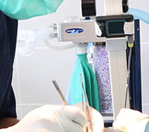 Reynella Veterinary Clinic - Morphett Vale, SA