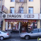 Dragon Seed Bridal and Photography
