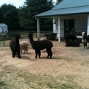 Alpaca Fullmoon Farm - Farms
