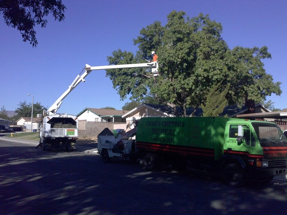 Chads Chippers Tree Service - Lancaster, CA
