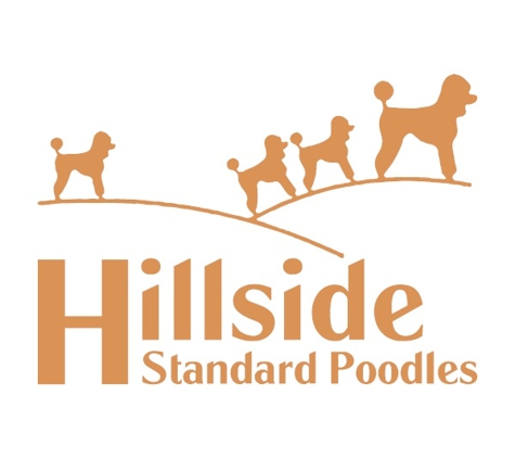 Hillside Standard Poodles - Rome, NY