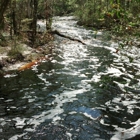 Falling Creek Falls