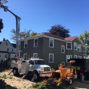 ASC Tree Service INC - Derry, NH