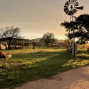 Roberts Horse Ranch - Horse Stables