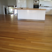 Gallery Image Number 8