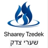 Shaarey Tzedek Synagogue gallery