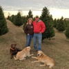 Mountain High Christmas Tree Farm gallery
