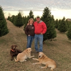 Mountain High Christmas Tree Farm