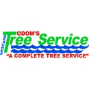 Odom's Beaches Tree Service - Arborists