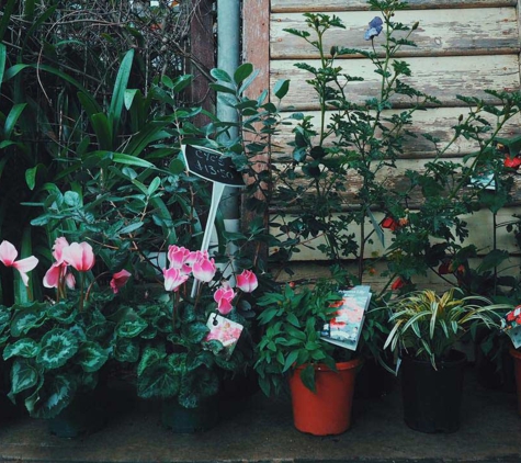 Wombat Hill Nursery - Daylesford, VIC