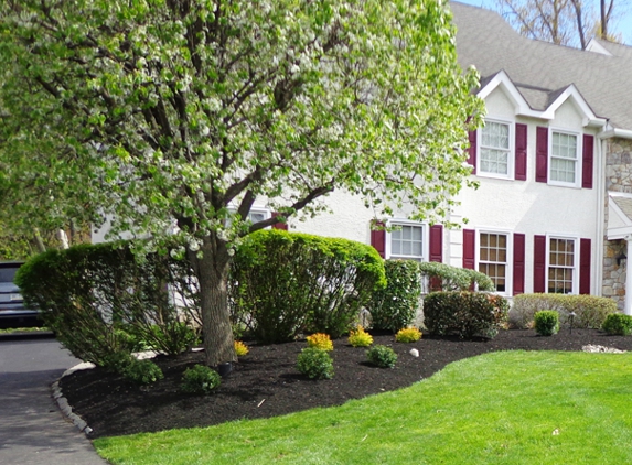 Pileggi Landscaping - Lansdale, PA