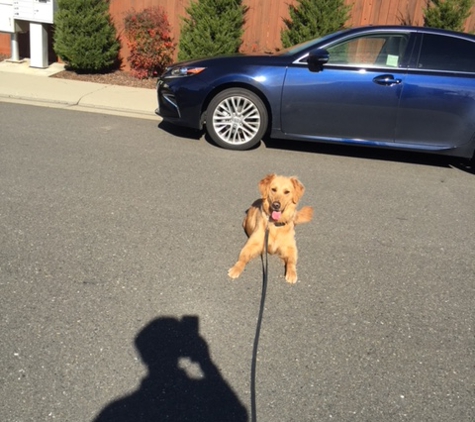 Wag Time Dog Training - Antelope, CA