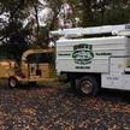 Heitz Tree & Landscaping Service LLC - Tree Service