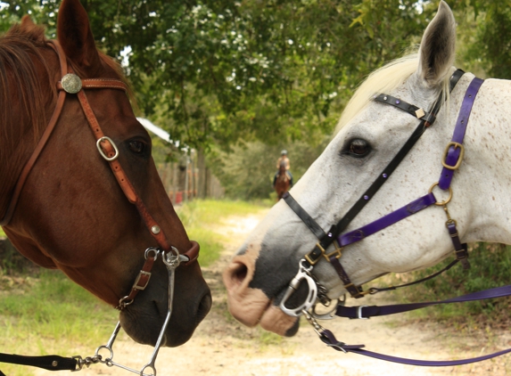 Southern Skies Ranch - Weeki Wachee, FL