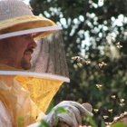 Burford & Sons Beekeeping