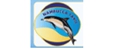 Nambucca Taxis PTY LTD - Taxi Cabs