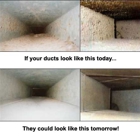 Healthy Air Duct Cleaning & Mold Remediation
