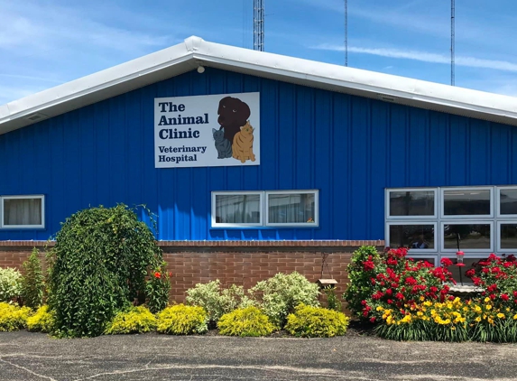 The Animal Clinic - Erie, PA