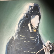Gallery Image Number 6