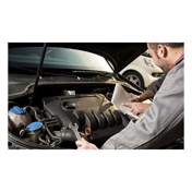 Gallery Image Number 2