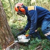 Affordable  Heights Tree Service gallery