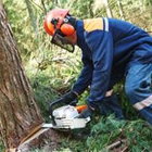 Affordable  Heights Tree Service