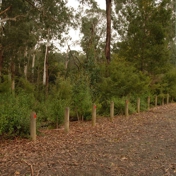 Gallery Image Number 7
