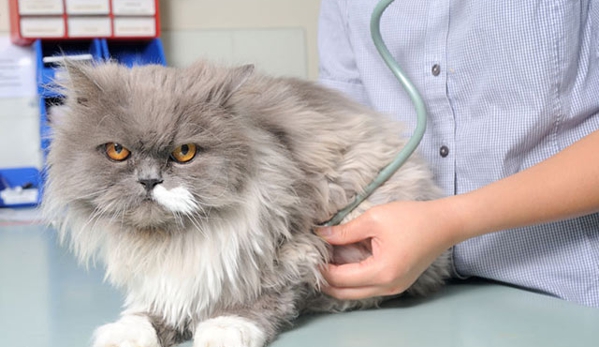 Peninsula Vet Care - Dromana, VIC