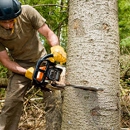 TREE CARE SERVICES - Tree Service