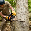 Tree Care Service Inc - Arborists